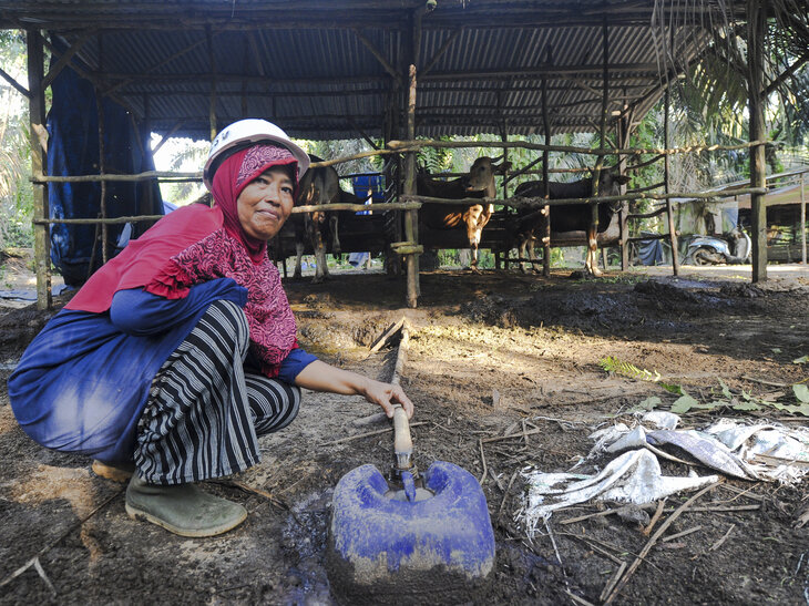 Indonesische Frau mit Behälter vor Kuhstall