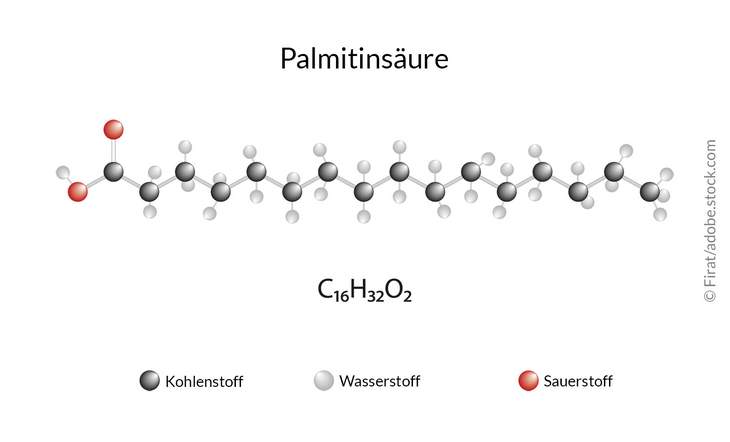 Die Palmitinsäure ist NICHT gleich Palmöl. 