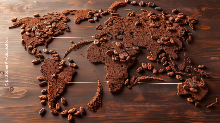 Foto zeigt eine Weltkarte aus Kakao