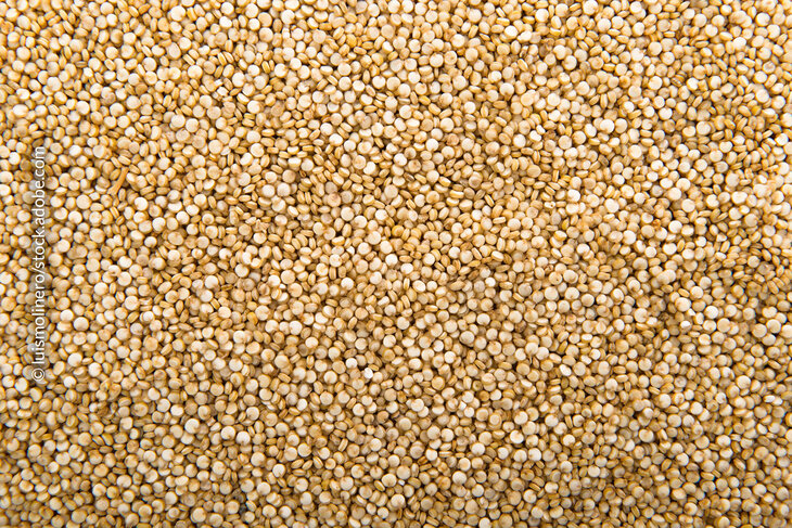 Quinoa zählt zu den so genannten Pseudogetreiden. 