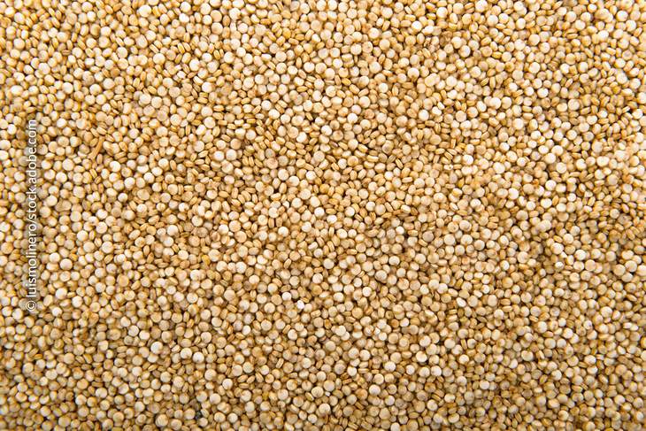 Quinoa zählt zu den so genannten Pseudogetreiden. 