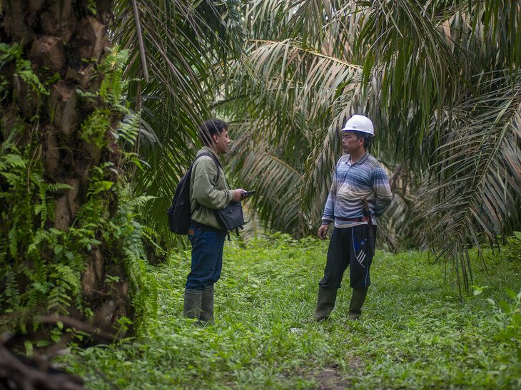 Zwei Personen in Indonesien im Ölpalmenfeld beim Gespräch.