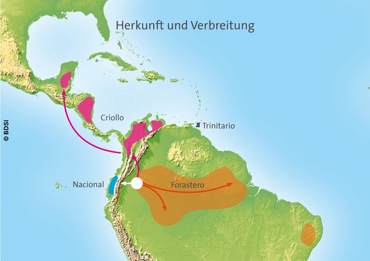 Karte zeigt historische Verbreitungswege nach wissenschaftlichem Stand